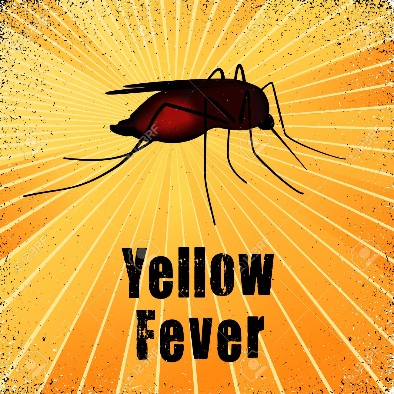 Yellow Fever In Brazil update 9 3 17 Global Health Travel Clinic